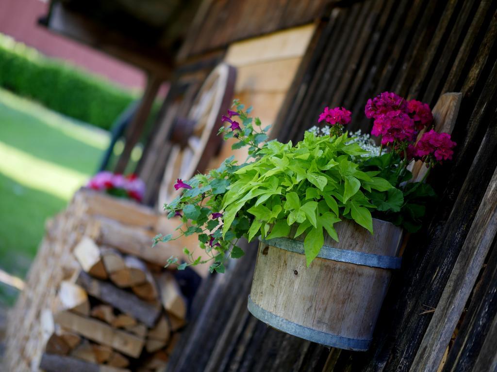 Apparthotel Ederfeld Mayrhofen Zewnętrze zdjęcie